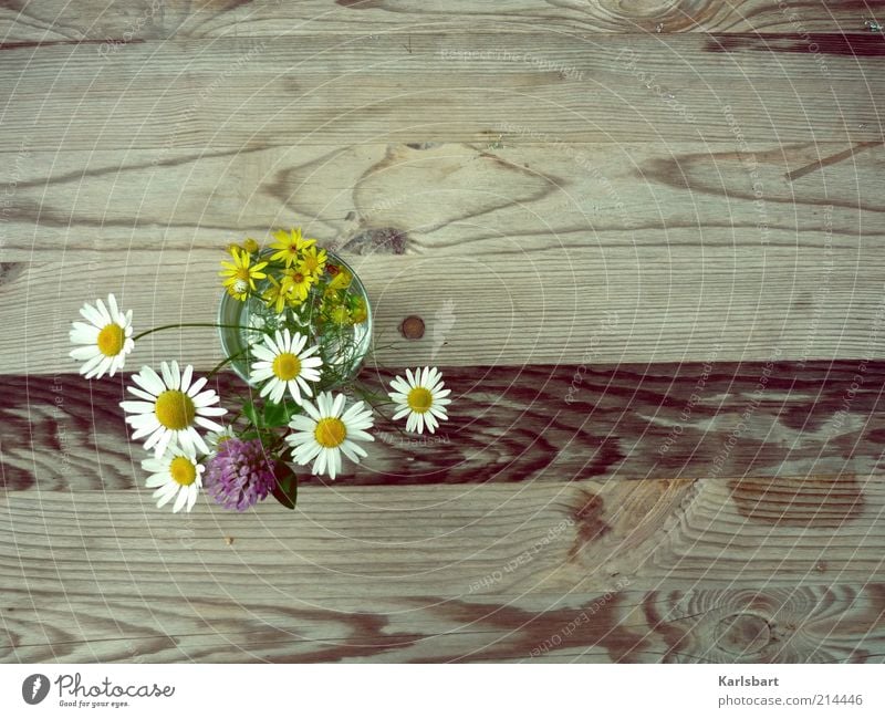 in love. Lifestyle Stil Freude Glück Gesundheit harmonisch Wohlgefühl Erholung Sommer Häusliches Leben Dekoration & Verzierung Tisch Valentinstag Muttertag