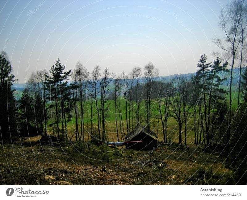 die Holzfällerhütte Umwelt Natur Landschaft Himmel Wolkenloser Himmel Horizont Sommer Wetter Schönes Wetter Wärme Pflanze Baum Sträucher Blatt Grünpflanze