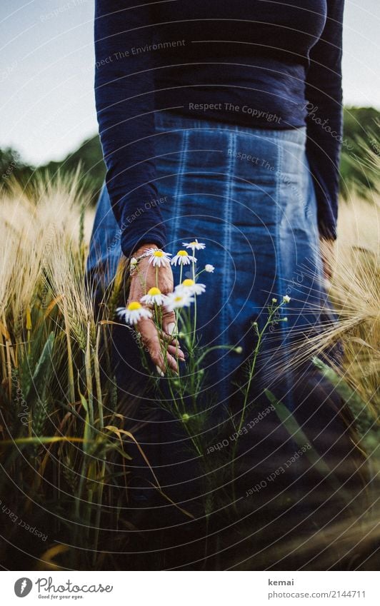 Blumen und ein Rock im Feld Lifestyle Stil harmonisch Wohlgefühl Zufriedenheit Sinnesorgane Erholung ruhig Freizeit & Hobby Ausflug Freiheit Mensch feminin Hand