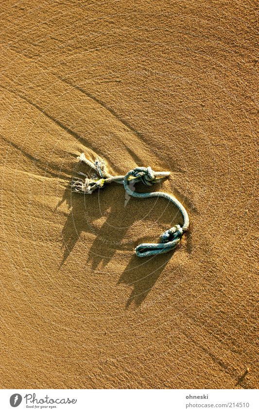 Burg aus Sand Strand Seil Sonnenlicht Sommer Schönes Wetter Farbfoto Licht Schatten Kontrast Vogelperspektive 1 Strandgut Sandverwehung Menschenleer braun