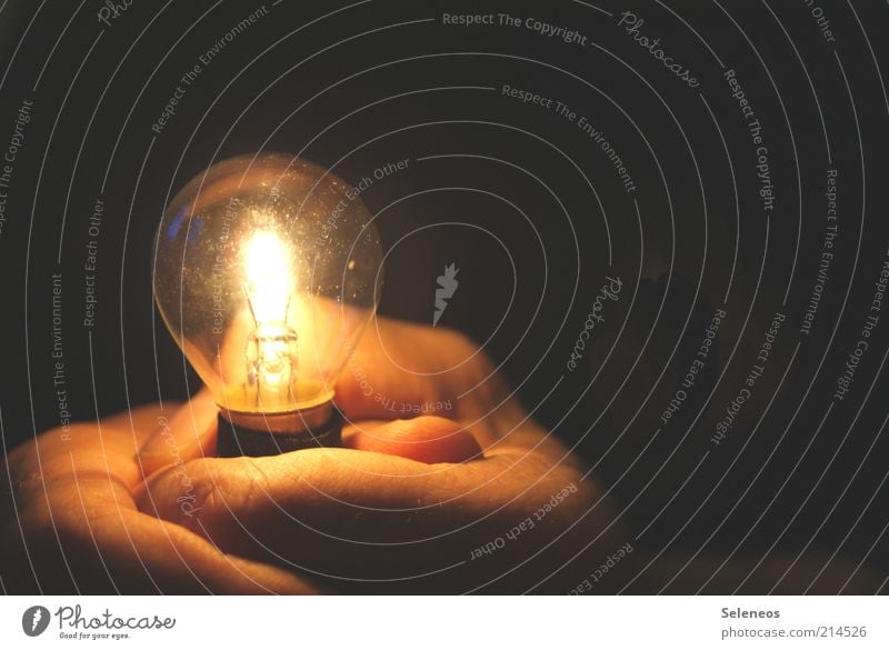 energiegeladen Technik & Technologie Energiewirtschaft Mensch Haut Hand Finger Umwelt Glühbirne leuchten Glas Farbfoto Innenaufnahme Nahaufnahme Detailaufnahme