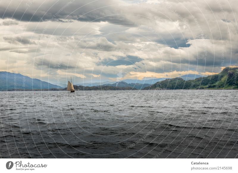 Sound of Mull an einem bewölktem Tag mit Segelboot Segeln Freiheit Sommer Meer Wellen Segeltörn Landschaft Wasser Himmel Wolken Horizont Hügel Felsen Küste