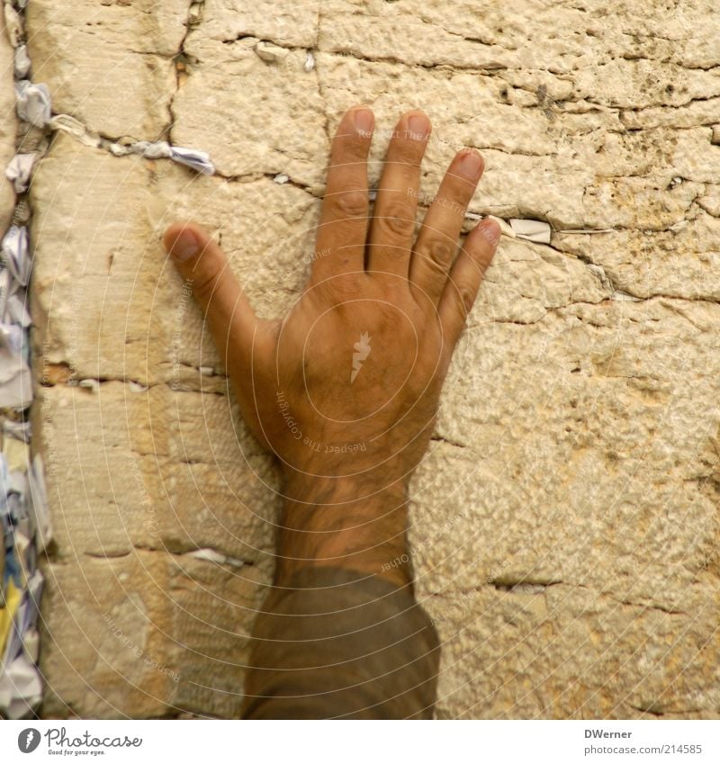 Western Wall Haare & Frisuren Haut Mensch maskulin Mann Erwachsene Hand Kultur Mauer Wand Fassade Sehenswürdigkeit Stein Reinigen ruhig Reue Gebet Zettel Finger