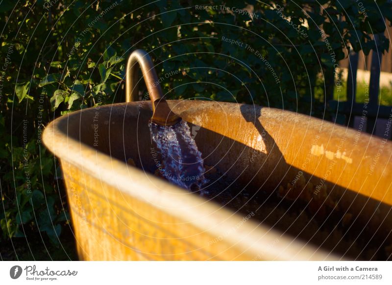 Sonntag = Badetag schön Körperpflege ruhig Schwimmen & Baden Stahl Rost Wasser kalt gelb gold ungemütlich Quelle Wärme einladend Badewanne Wasserhahn Abendsonne