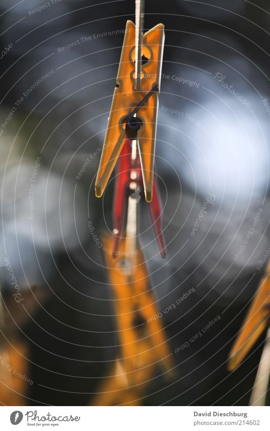 Aufhänger gelb grau Wäscheklammern Befestigung Wäscheleine Seil hängend Luft Farbfoto Außenaufnahme Nahaufnahme Detailaufnahme Tag Kontrast Unschärfe