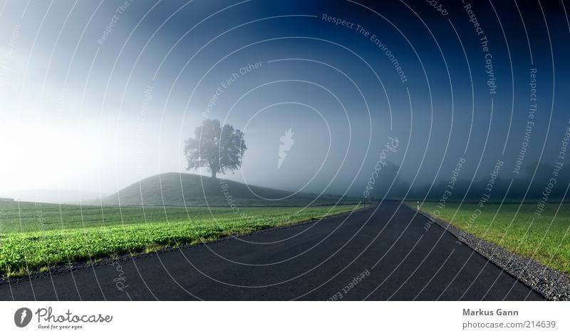 Nebel Natur Landschaft Luft Herbst Wetter Baum Gras Wiese Hügel Stimmung träumen Deutschland Lichteinfall grün blau grau Bayern kalt dunkel schlechtes Wetter