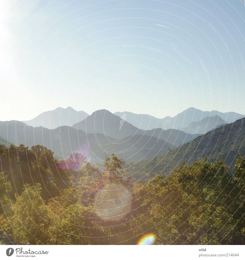 Schwarze Berge Ferien & Urlaub & Reisen Tourismus Abenteuer Freiheit Sommer Sommerurlaub Umwelt Natur Landschaft Wolkenloser Himmel Schönes Wetter Sträucher