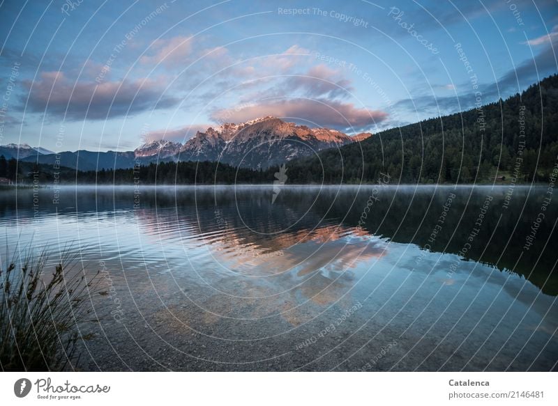 Bright shiny morning am Bergsee Berge u. Gebirge wandern Wasser Himmel Wolken Sommer Schönes Wetter Binsen Fichte Tanne Alpen Seeufer glänzend Flüssigkeit blau