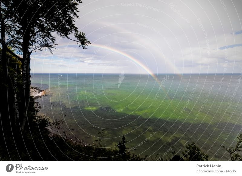 raining in paradise Umwelt Natur Landschaft Pflanze Himmel Wolken Sommer Klima Wetter Schönes Wetter schlechtes Wetter Regen Felsen Wellen Küste Bucht Ostsee