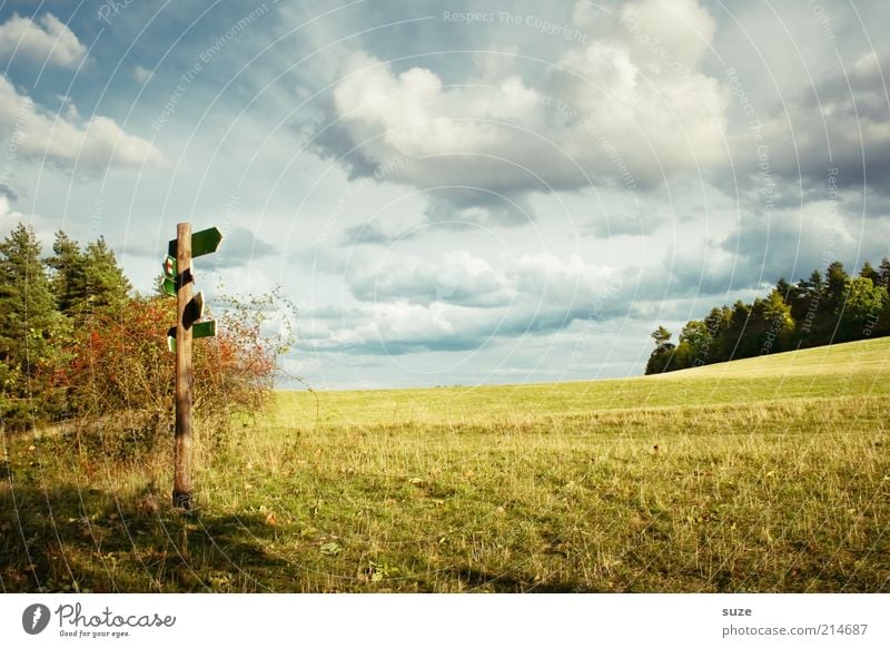 Somma! Natur Landschaft Himmel Wiese Feld Wald Wege & Pfade Schilder & Markierungen Hinweisschild Warnschild Zukunft Wegweiser Richtung Entscheidung Pfeil