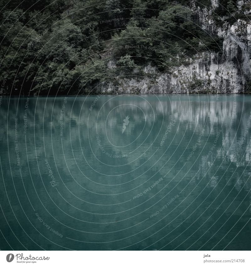 lower lake Natur Landschaft Pflanze Baum Sträucher Felsen See Kroatien dunkel Farbfoto Gedeckte Farben Außenaufnahme Menschenleer Abend Reflexion & Spiegelung