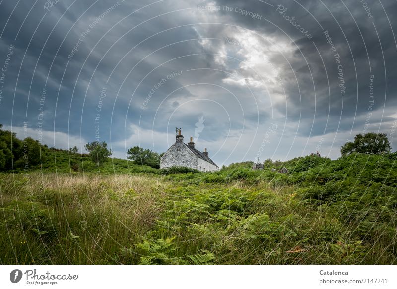 Einsames Haus mitten in der Natur Sommer wandern Landschaft Pflanze Himmel Gewitterwolken schlechtes Wetter Baum Gras Sträucher Farn Wiese Einfamilienhaus