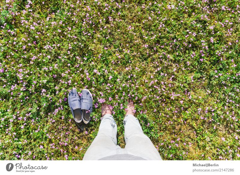 Mann steht barfuss in Blumenwiese Mensch maskulin Erwachsene Fuß 1 30-45 Jahre Natur Frühling Gras stehen grün rosa Glück Berlin Deutschland flortrait footsie