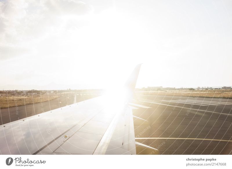 Ab in den Urlaub Ferien & Urlaub & Reisen Ferne Sommerurlaub Sonne Schönes Wetter Verkehr Verkehrsmittel Luftverkehr Flugzeug Passagierflugzeug Flughafen