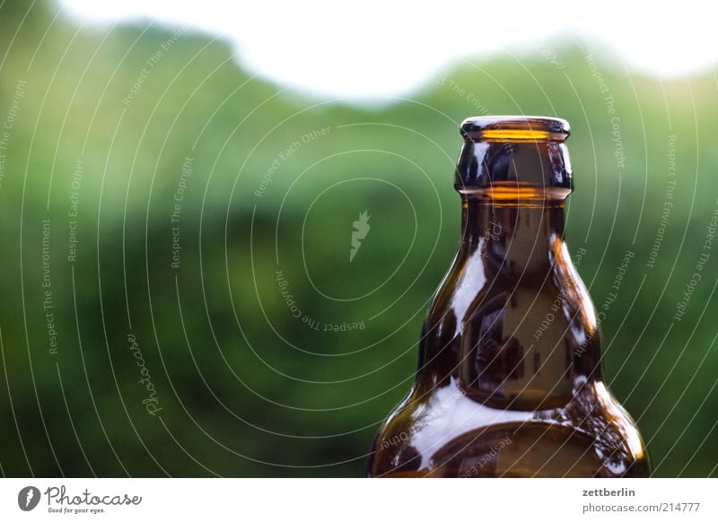 Bier Flasche Bierflasche leer Getränk Farbfoto Flaschenhals braun 1 Hintergrund neutral Menschenleer Textfreiraum links Textfreiraum oben Textfreiraum unten