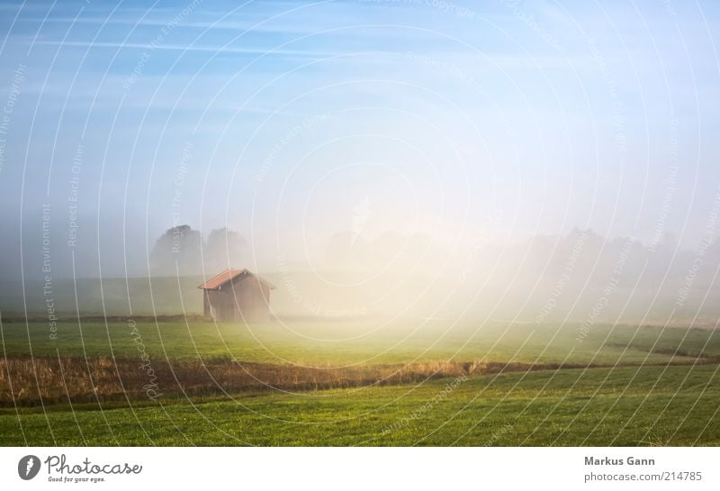 Frühnebel Natur Landschaft Luft Herbst Nebel Baum Gras Morgen Hütte Himmel hell blau grün Bayern Grundbesitz Farbfoto mehrfarbig Außenaufnahme Menschenleer