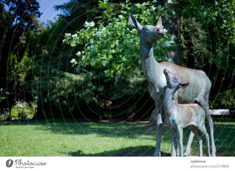 Wie ist die Luft da oben, Mama? Umwelt Natur Baum Park Wiese Wildtier Tierjunges Tierfamilie Partnerschaft Bildung entdecken Kindheit Kommunizieren Leben