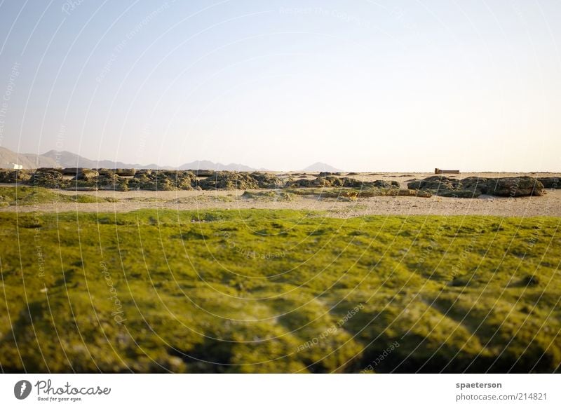 ein tag am meer Sommer Strand Natur Landschaft Erde Sand Himmel Wolkenloser Himmel Horizont Schönes Wetter Gras Moos Berge u. Gebirge Stein Erholung genießen