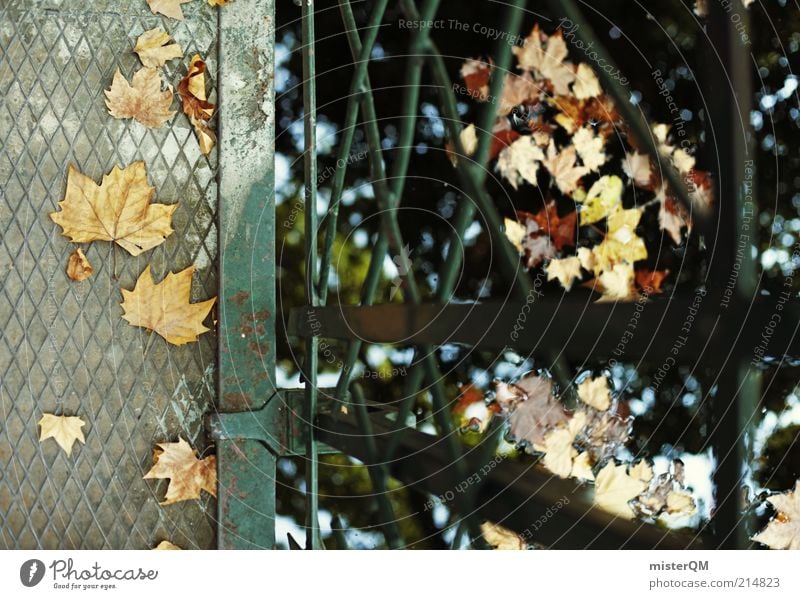 Herbstliche Gefilde. Umwelt Natur ästhetisch Zufriedenheit Herbstlaub herbstlich Herbstfärbung Herbstbeginn Herbstwetter Jahreszeiten Saison Blatt Wasser Teich