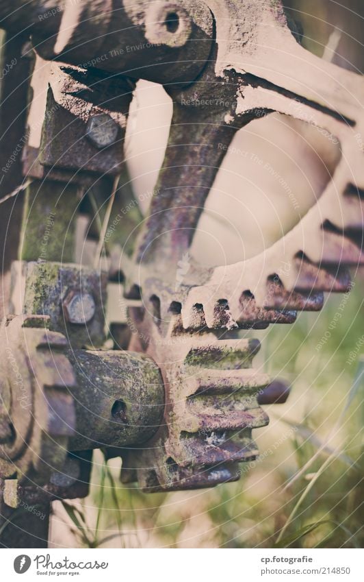 Zahnräder Industrie Maschine Zahnrad Rost Schraube Metall alt hässlich trist Tag Schwache Tiefenschärfe Gras Verfall Wandel & Veränderung Menschenleer