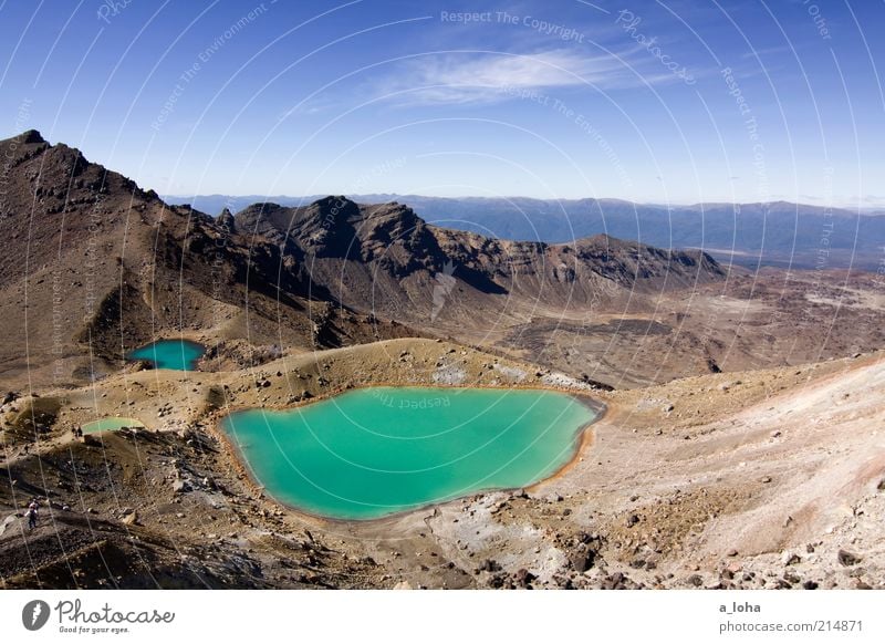 emerald lakes Landschaft Himmel Schönes Wetter Felsen Berge u. Gebirge Schneebedeckte Gipfel Vulkan Seeufer Teich Stein Ferien & Urlaub & Reisen außergewöhnlich