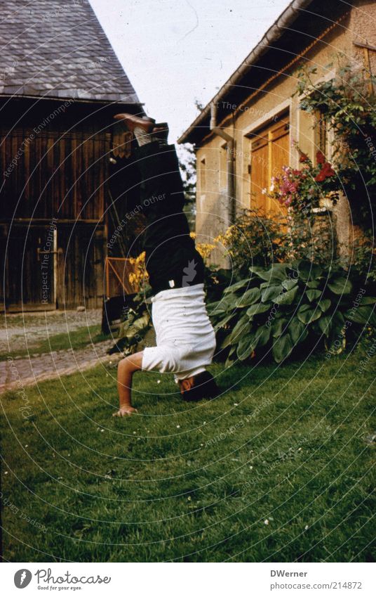 Die Welt steht Kopf! Lifestyle Spielen Haus Garten Fitness Sport-Training Leichtathletik Sportler Mensch maskulin Mann Erwachsene 1 45-60 Jahre Dorf Gebäude