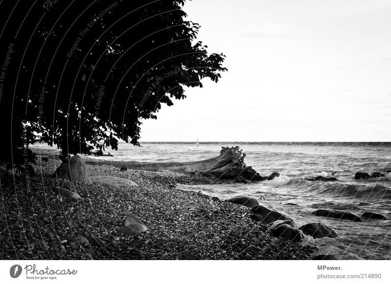 Küste Sommerurlaub Strand Meer Insel Wellen Natur Seeufer Stein Sand Wasser Einsamkeit Erholung Fehmarn Kontrast Baumstamm Kies Felsen Silhouette