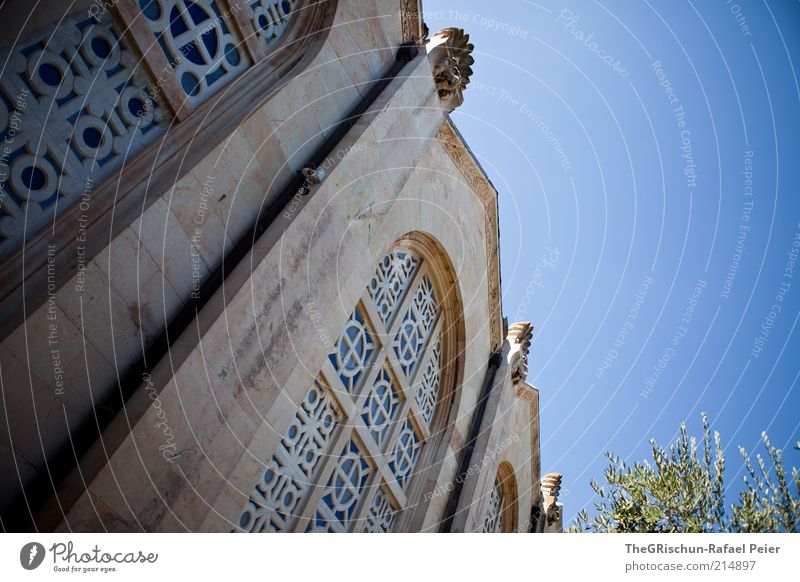 church of all nations Ferien & Urlaub & Reisen Tourismus Ferne Sightseeing Sommerurlaub Kunstwerk Kultur Schönes Wetter Jerusalem Israel heiß blau braun grün