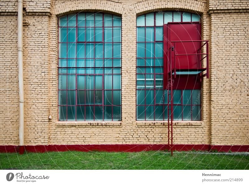 Wenn de reinkommst kannste rausgucken! Fabrik Wiese Industrieanlage Stein Beton Glas Backstein alt außergewöhnlich blau braun grün rot einzigartig Ordnung