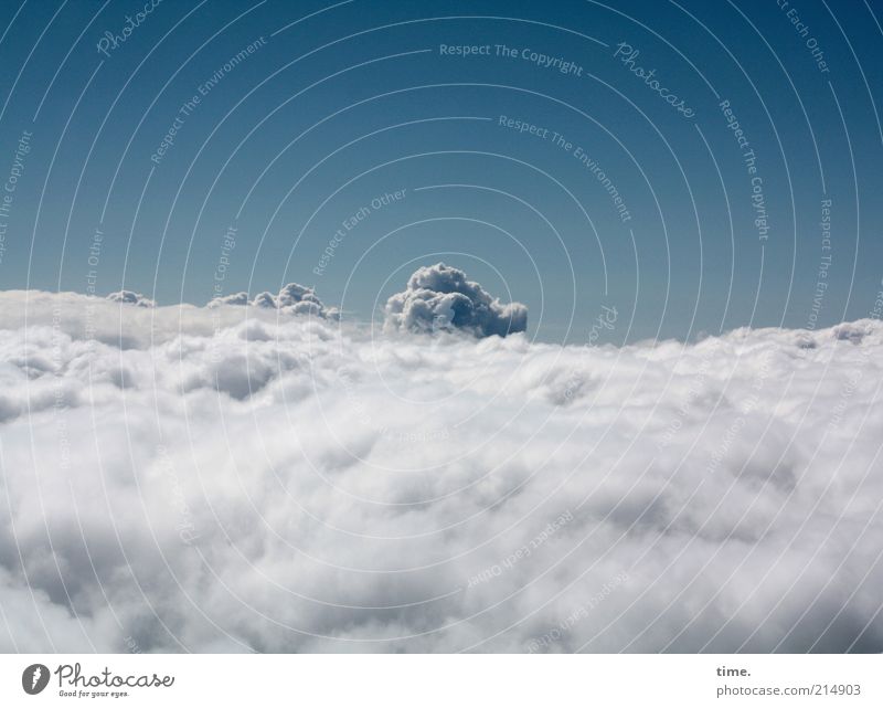 Wolke 7 schön Ferne Himmel Wolken Horizont schlechtes Wetter hoch einzigartig kuschlig oben weich blau Wasserdampf Wolle Atmosphäre Anhäufung Außenaufnahme