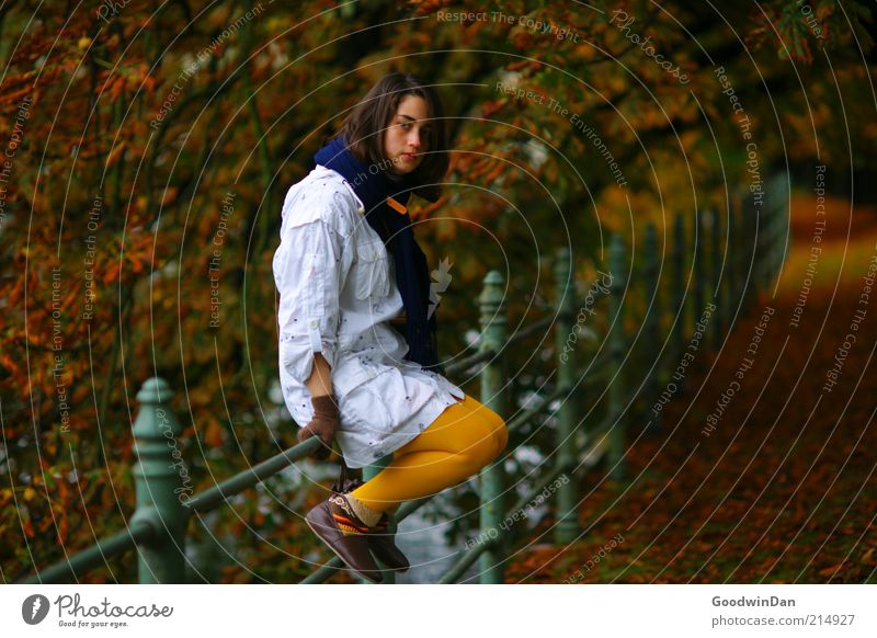 Herbst Mensch feminin Junge Frau Jugendliche Erwachsene 1 Bekleidung Jacke Strumpfhose brünett atmen sitzen dunkel kalt Gefühle Stimmung Vorfreude Gelassenheit