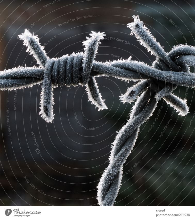 Kalte Gefangenschafft Umwelt Natur Eis Frost Schnee Menschenleer Metall Stahl Kristalle frieren fest grau Farbfoto Außenaufnahme Nahaufnahme Detailaufnahme