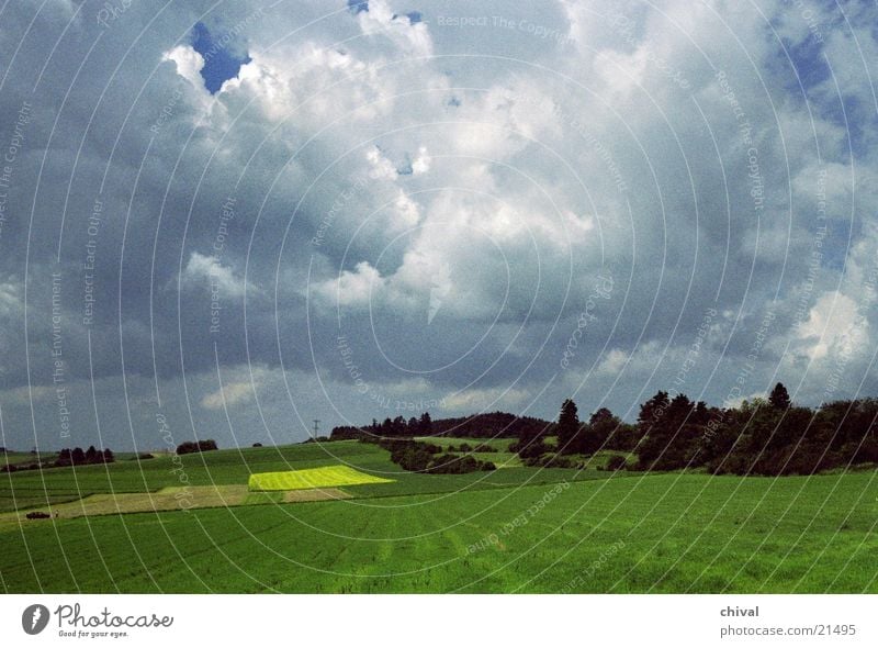 Rapsfeld Feld Wiese Wolken Wald gelb grün Berge u. Gebirge Himmel Lampe