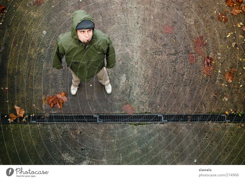 herbstanfang Mensch maskulin Mann Erwachsene Herbst Klimawandel schlechtes Wetter Blatt Schutzbekleidung Jacke Kapuze stehen Gefühle Stimmung Misstrauen Wut