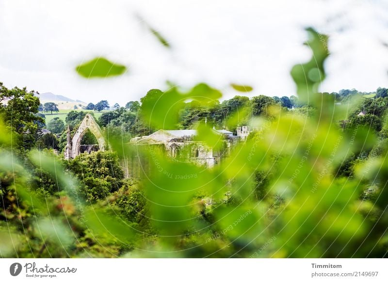 Bolton Abbey. Ferien & Urlaub & Reisen Umwelt Natur Landschaft Großbritannien Ruine Bauwerk Mauer Wand Sehenswürdigkeit grün Yorkshire Kloster Farbfoto