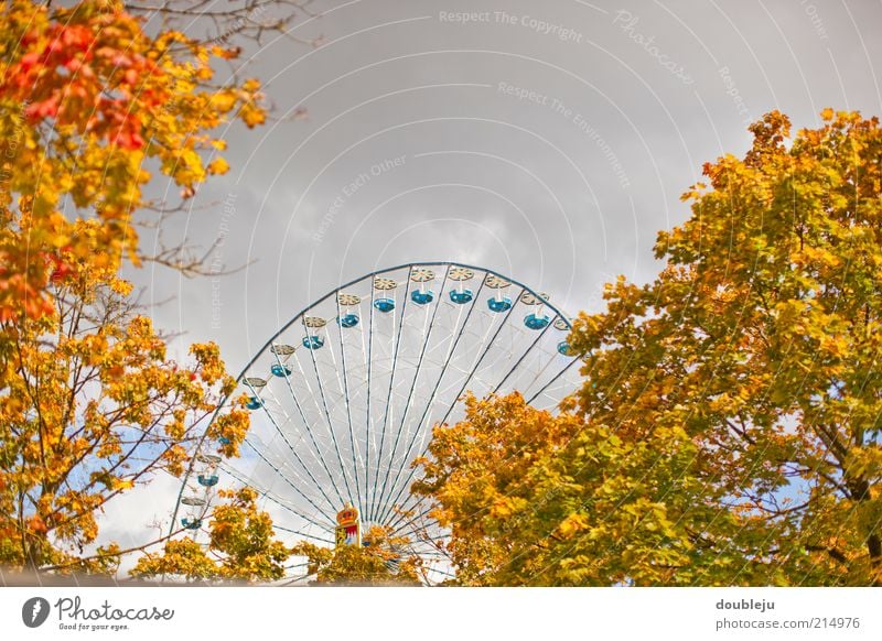 voixfest Jahrmarkt Riesenrad Herbst Herbstfärbung herbstlich Herbstmarkt Herbstwetter Herbstlaub Freizeit & Hobby Wochenende Entertainment Feste & Feiern Baum