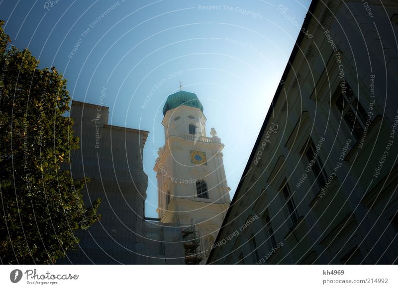 Dom im Licht Ferien & Urlaub & Reisen Tourismus Städtereise Sommer Sonne Kunstwerk Luft Wolkenloser Himmel Sonnenlicht Schönes Wetter Baum Stadt Altstadt