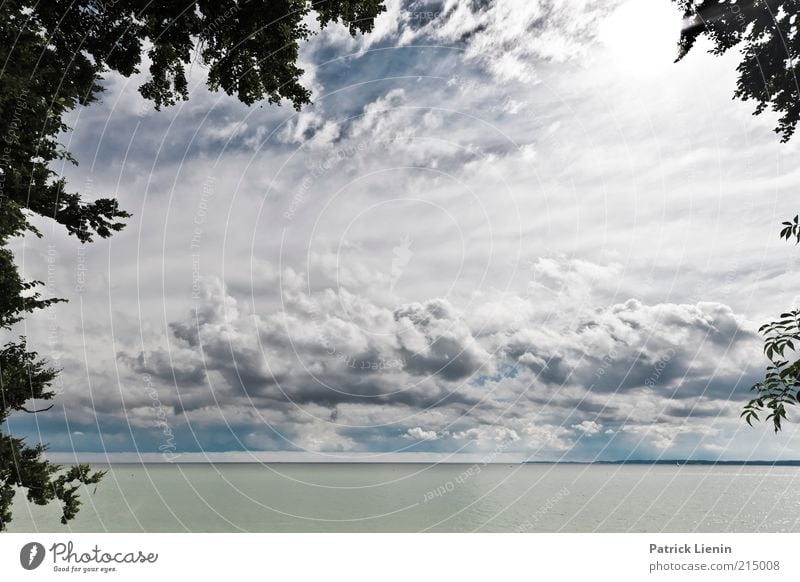 Into The Great Wide Open Umwelt Natur Landschaft Pflanze Urelemente Luft Wasser Himmel Wolken Gewitterwolken Sonnenlicht Wetter Wind Baum Sträucher Wellen Küste