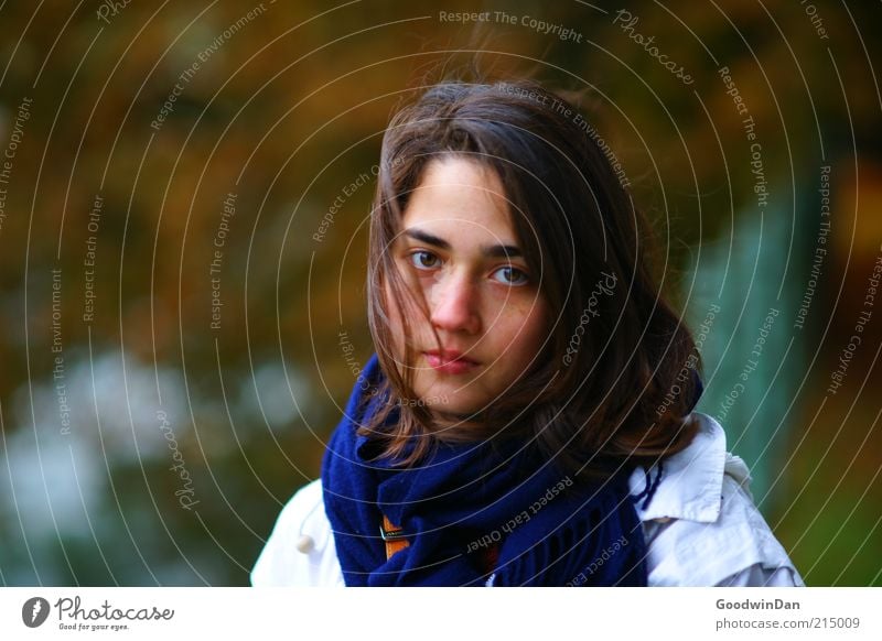 Herbst Mensch feminin Junge Frau Jugendliche Erwachsene 1 Jacke Schal Haare & Frisuren brünett schön kalt Stimmung nachdenklich Traurigkeit frei Farbfoto