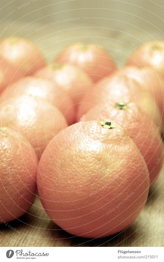 Oranje Lebensmittel Frucht fruchtig Orange süß Farbfoto mehrere viele Orangenschale Strukturen & Formen Menschenleer natürlich Bioprodukte Unschärfe liegen