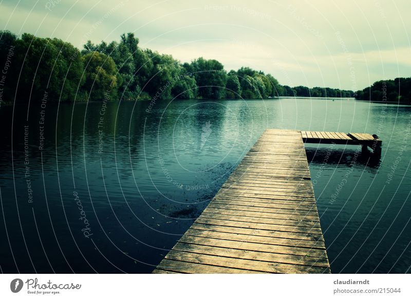 Südsee Umwelt Natur Landschaft Wasser Himmel Wolken Wald Seeufer Braunschweig Deutschland schön blau grün Steg Anlegestelle Retro-Farben Holz Baum dunkel