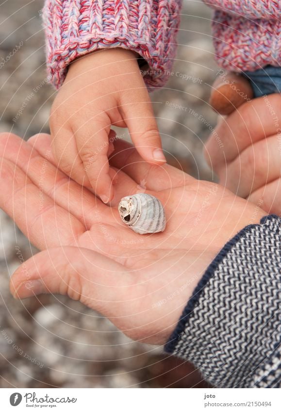 Schnecke gefunden Freude Freizeit & Hobby Ferien & Urlaub & Reisen Ausflug Abenteuer Sommer Sommerurlaub Strand Kindererziehung lernen Kleinkind Junger Mann