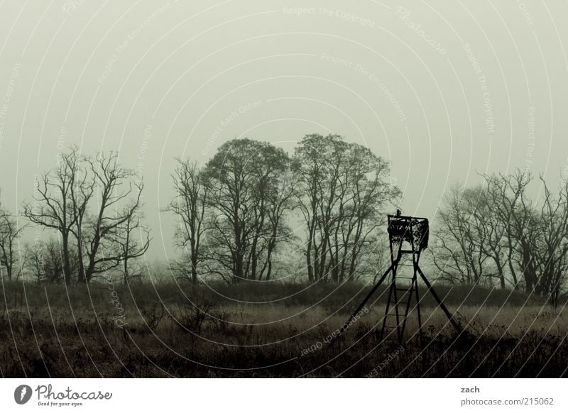 November Natur Landschaft Wolken Herbst Nebel Baum Feld beobachten dunkel braun Traurigkeit Endzeitstimmung Trauer Vergänglichkeit Winter Hochsitz Jagd