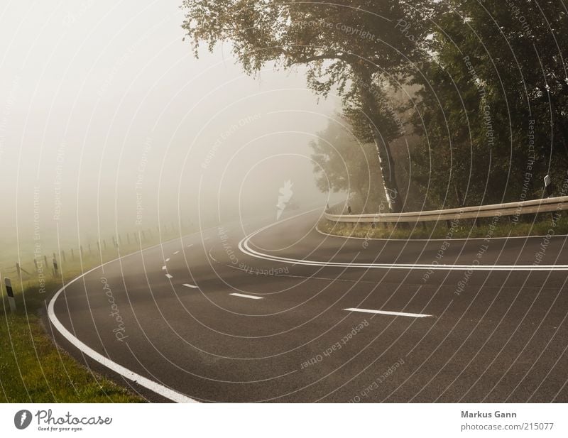 Im Nebel Ferien & Urlaub & Reisen Umwelt Natur Luft Herbst Wetter schlechtes Wetter Baum Verkehr Verkehrsmittel Autofahren Straße Fahrzeug PKW braun bedrohlich