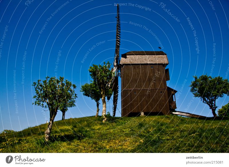 Windmühle in Werder Tourismus Ausflug Sommer Sommerurlaub Umwelt Natur Landschaft Himmel Wolkenloser Himmel Baum Park alt Mühle historisch Museum Müller