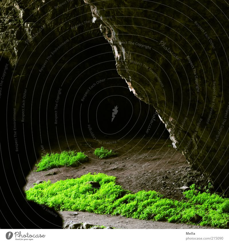 Ausweg Natur Urelemente Felsen Höhle Stein leuchten dunkel natürlich Gefühle Stimmung bizarr geheimnisvoll Umwelt Wege & Pfade Ausgang Gesteinsformationen