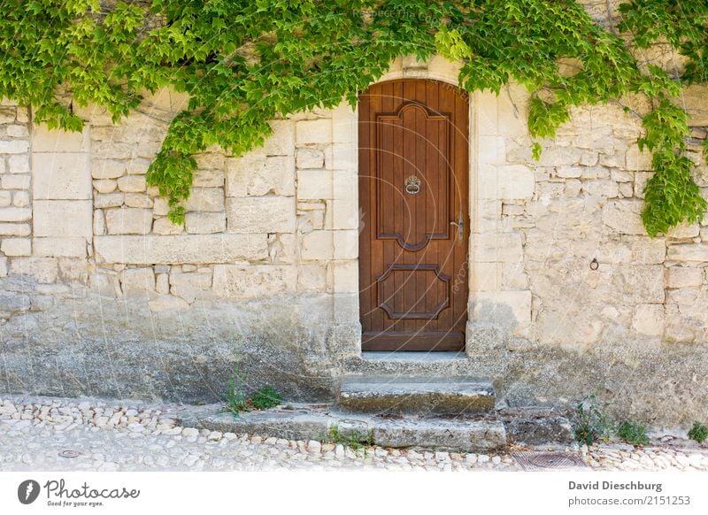 Old door Ferien & Urlaub & Reisen Tourismus Ausflug Abenteuer Frühling Sommer Schönes Wetter Pflanze Efeu Dorf Altstadt Haus Fassade Tür einzigartig Energie