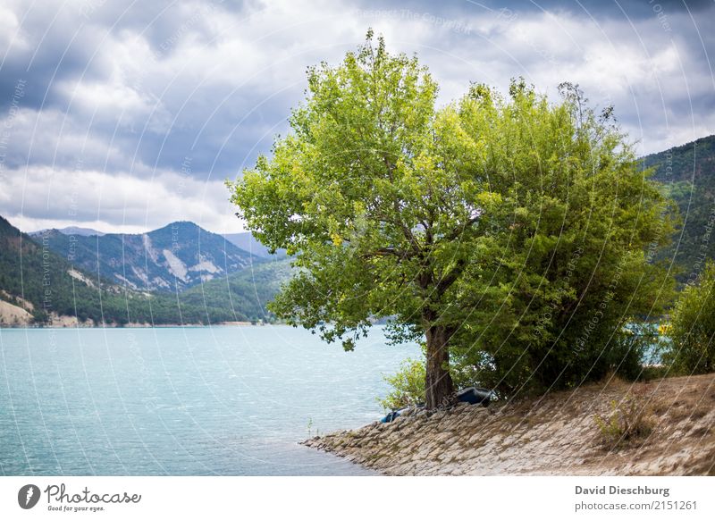 Bergseeromantik Ferien & Urlaub & Reisen Tourismus Ausflug Abenteuer Freiheit Natur Landschaft Himmel Wolken Schönes Wetter Pflanze Baum Hügel Felsen Alpen