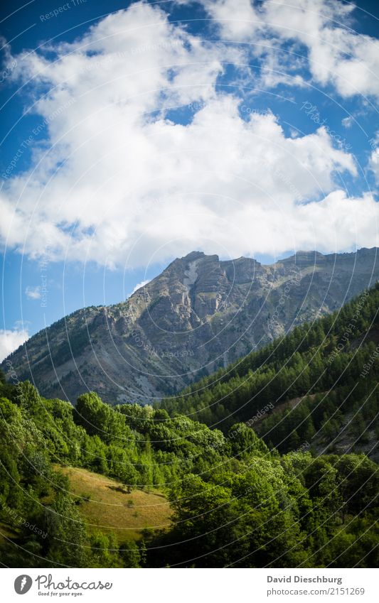 Provence de Rhone Ferien & Urlaub & Reisen Abenteuer Ferne Expedition Natur Landschaft Himmel Wolken Frühling Sommer Schönes Wetter Pflanze Baum Wald Hügel