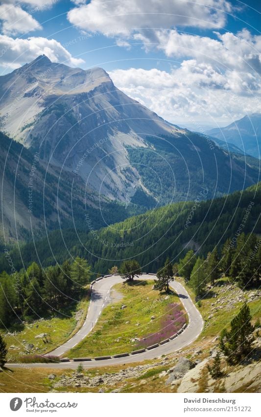 Motorradfahrerparadies Ferien & Urlaub & Reisen Tourismus Ausflug Natur Landschaft Himmel Wolken Frühling Sommer Schönes Wetter Pflanze Wald Hügel Felsen Alpen